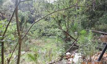 Imagem 7: Bela área de 77.000 m² com infraestrutura iniciada (Vende Separadamente