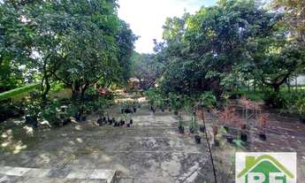 Imagem 5: Ponto para alugar - Todos os Santos - Teresina/PI