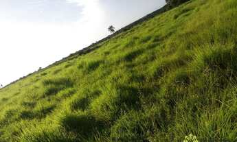 Imagem 7: Fazenda à venda, 376 Hectares em Gurupi/TO