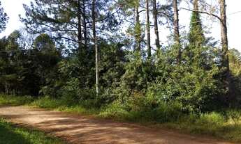 Imagem 2: Terreno à venda, 2400 m² por R$ 265.957,00 - Recanto da Corcunda - Gravataí/RS