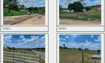 Imagem 6: GIRAU DO PONCIANO - CAMPO GRANDE - Oportunidade Única em GIRAU DO PONCIANO - AL