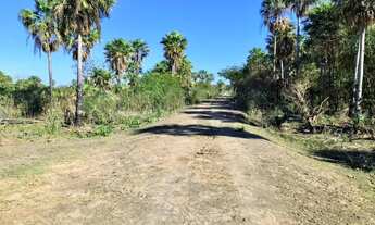 Imagem 6: Fazenda 2.700 Hectares Corumbá MS