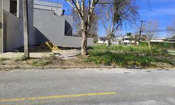 Imagem 7: TERRENO NO PINEVILLE