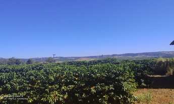 Imagem 5: Sítio de Café Chácara com venda por R$5.500.000