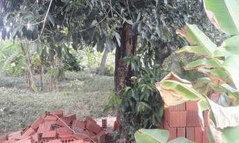 Imagem 3: Vendo terreno no bom jardim no valor de R$6.000