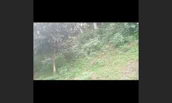 Imagem 2: Vendoooo 10 mil pra ir logo!!!