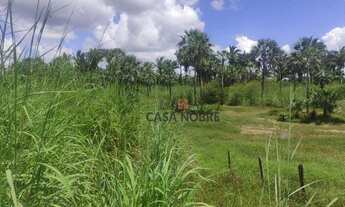 Imagem: Vende-se Fazenda em Vargem Grande/MA com