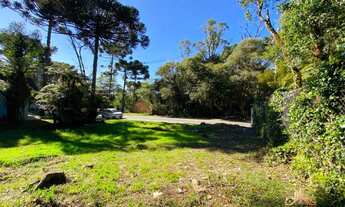 Imagem 9: Terreno à venda, 800 m² por R$ 1.272.000,00 - Planalto - Gramado/RS