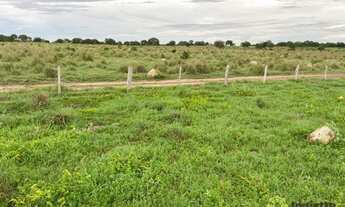 Imagem 6: Fazenda à venda, 400 Hectares em Miracema do Tocantins/TO
