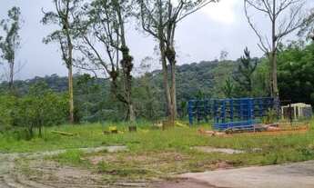 Imagem 2: Área empresarial na Rodovia Índio Tibiriça