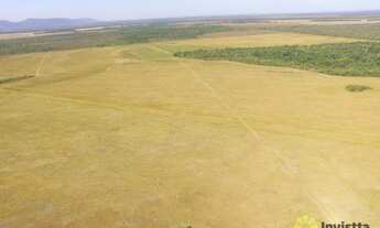 Imagem: Fazenda à venda, 976 Hectares em Santa
