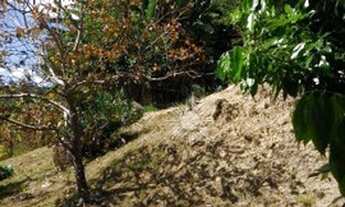 Imagem 5: Sítio à venda, 21000 m² por R$ 500.000,00 - Douradinho - Piedade/SP