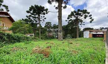 Imagem 1: Ótima oportunidade de investimento!!! Excelente lote de terreno com declive suave localiza