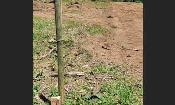 Imagem 5: Lote/Terreno para venda com 1000 metros quadrados em Paraíso de Igaratá - Igaratá - São Pa