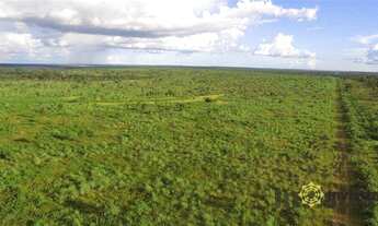 Imagem 6: Fazenda à venda, 2.130 Hectares em Colinas do Tocantins/TO