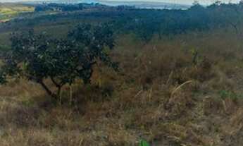 Imagem 2: Vendo ágio de chácara