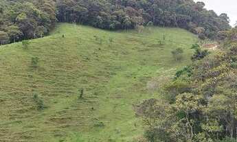 Imagem 6: Sítio em Quarta Linha - Angelina, SC