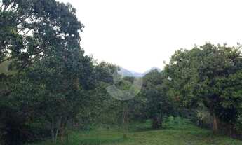 Imagem 3: Terreno à venda, 15481 m² por R$ 1.200.000,00 - Pindobas - Maricá/RJ