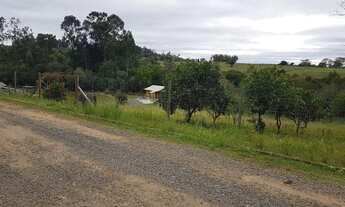 Imagem 6: Terreno à venda, 1748 m² por R$ 265.000,00 - Recanto da Corcunda - Gravataí/RS