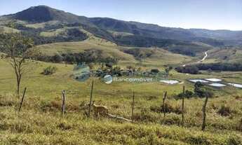 Imagem 5: Área à venda, 1228000 m² por R$ 3.200.000,00 - Centro - Ilicínea/MG