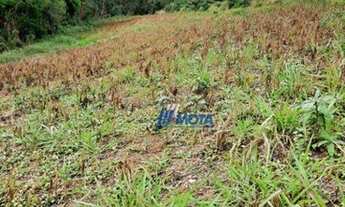 Imagem 2: Chácara à venda, 16429 m² por R$ 250.000,00 - Zona Rural - Contenda/PR