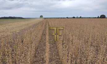 Imagem 3: Fazenda 700 Hectares, Miracema do Tocantins, TO