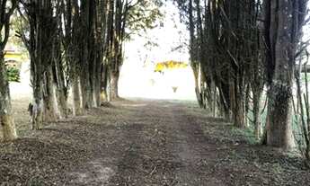 Imagem 7: Conquiste Seu Terreno dos Sonhos em Ibiúna SP