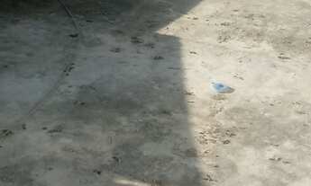 Imagem 6: Terreno ótimo preço