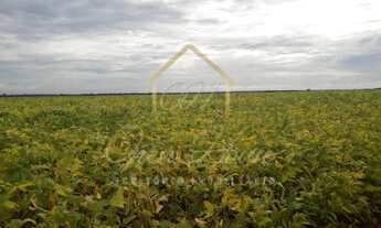 Imagem 3: Vendo ótima fazenda em Sinop-MT