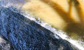 Imagem 3: 14t-Ótimas opções de empreendimentos