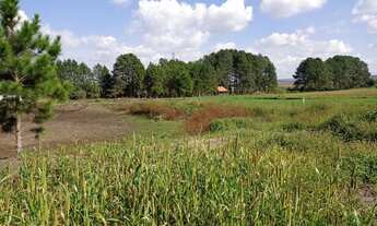 Imagem 3: Chácara/ sitio/ área a venda quatro barra