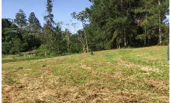 Imagem 2: Vendo sítios e chácaras