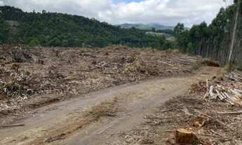 Imagem 4: Lote/Terreno para venda com 999 metros quadrados em aterrado - Salesópolis - São Paulo