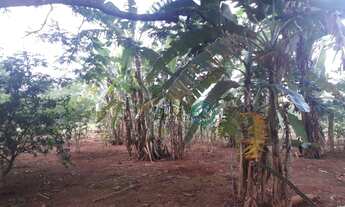 Imagem 4: Vendo Confinamento com Capacidade para 400 Boi a 14 KM de Brazlândia/DF