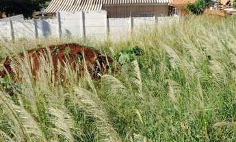 Imagem 3: Casa com 2 dormitórios à venda, 53 m² por R$ 270.000,00 - Jardim Laranjeiras - Londrina/PR