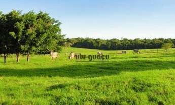 Imagem 2: Fazenda à venda, 7018000 m² - Chácaras Bauruenses - Bauru/SP