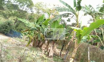 Imagem 4: Chácara com 3 dormitórios à venda, 4176 m² por R$ 370.000,00 - Chácara Itapoã - Jacareí/SP