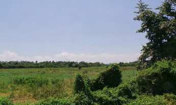 Imagem: Lote/Terreno para venda possui 22630 metros