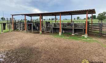 Imagem 3: Fazenda à venda de 720 Hectares em Araguacema do Tocantins