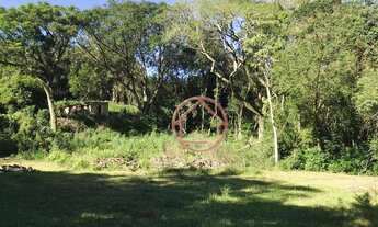 Imagem 3: Chácara/Sítio/Fazenda 10.000m² à venda