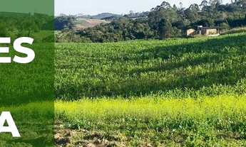 Imagem 1: Lote/Terreno para venda tem 1000 metros quadrados em Verava - Ibiúna - SP