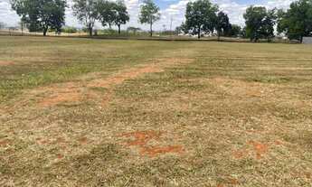 Imagem: LOTE NA COROA PORTAL DO SOL GREEN