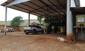 Imagem 2: 10.5 alq. Com 9.3 mecanizado em Sta Tereza