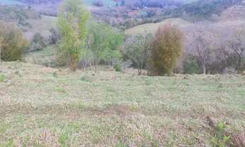 Imagem 2: Chácara em Cantagalo