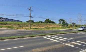 Imagem 2: AVENIDA PARANA - CAJURU DO SUL - ESQUINA COM 4091 M2