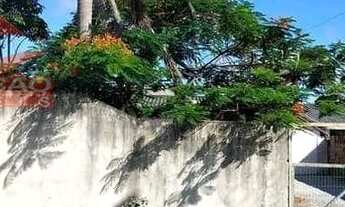 Imagem 2: ITAPEMA - Casa Padrão - Morretes