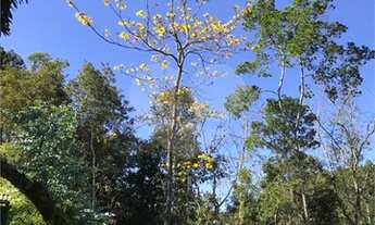 Imagem 5: Aracê - Sítio - Pedra Azul de Aracê