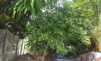 Imagem 2: Terreno 5mx12m Terreno / lote com venda por R$10.000