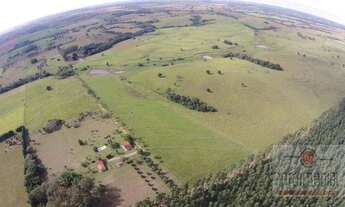 Imagem 3: Fazenda rural à venda