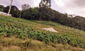 Imagem 3: Lote/Terreno para venda com 2000, metros quadrados em Estação - Araucária - Paraná